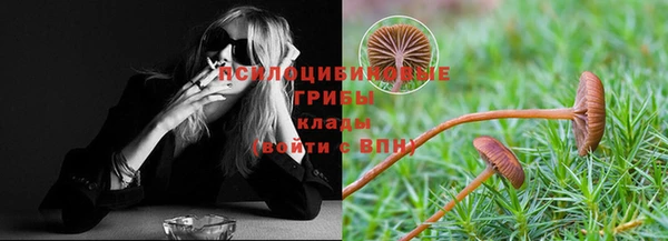каннабис Алзамай
