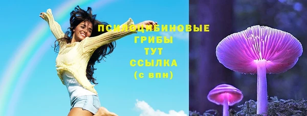 синтетический гашиш Алексин