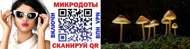 Галлюциногенные грибы прущие грибы  mega ТОР  Нея 